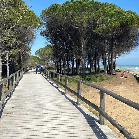 Essential Near The Bibione